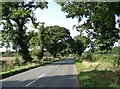 Low Road (B1140) towards Salhouse in NR13 6RX