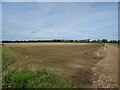 Stubble field off Horning Road  in NR12 8JJ
