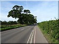 Horning Road (A1062) in NR12 8JJ