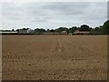 Sandy field towards Grove Farm in NR29 5DA