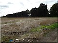 Stubble field off Ludham Road in NR29 5PT