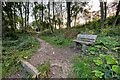 Bench on the path through the woods in CV23 0AT