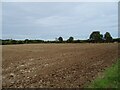 Field, Potter Heigham in NR29 5LN