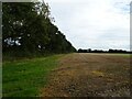 Stubble field and hedgerow in NR12 0AS