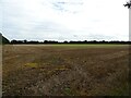 Stubble field off Heath Road in NR12 0AS