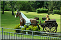 Horse and Carriage near Lews Castle in HS1 2JS