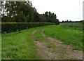 Farm track (footpath) off Brooke Road in Brooke Ward