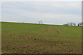 Arable land, Rivey Hill in CB21 4LE
