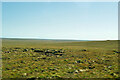 Moorland near Loch Roisneabhat in HS2 0SD