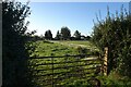 Gate and field beside Stockton Lane in Heworth Without