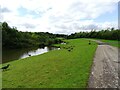 West side of the lake at Herrington in DH4 7EL