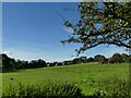 Field west of Pilden Lane in WF3 2HB