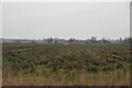 Floodplain of the River Waveney in Beccles & Worlingham Ward