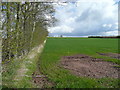 Arable land near Poolspringe Farm in HR2 8HU