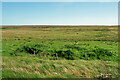 Moorland near Barvas in HS2 0RA