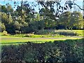 A pond on the Erewash Valley Golf Course in DE7 4RJ