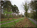 Ford Lane and bridleway by Bramshill Plantation in RG27 0RH