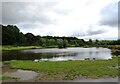Wildlife pond at Herrington in DH4 4UT