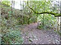 Terraced path in Buckden Clough in BL0 0NW