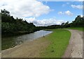Ponds at Herrington Country Park in DH4 7EL