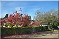 Red Leaves, East Woodhay in RG20 0AJ