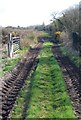 Footpath on the edge of Knighton Heath in DT2 8ZB