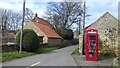 Re-purposed telephone box, Hutton Buscel in YO13 9LN