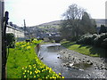 River Wauchope, Langholm in DG13 0DZ