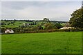 Buckland St Mary : Grassy Field in TA20 3RD