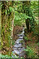 Buckland St Mary : Stream in TA20 3QQ
