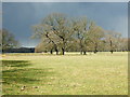 Storm clouds over Welbeck  park in Norton, Cuckney, Holbeck and Welbeck