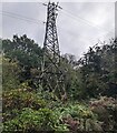 Electricity pylon in the Forest of Dean, Gloucestershire in GL15 4RY