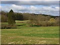 Countryside at Stype in RG17 0RJ