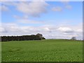 Farmland, Bagshot in RG17 0RG