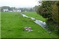 Stream crossing a field in Cartmel in LA11 6PP