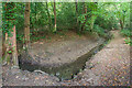 Stream, Ashplats Wood in RH19 3TR