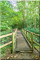 Footbridge, Ashplats Wood in RH19 3UU