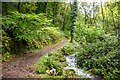 Porlock : Footpath & Stream in TA24 8LR