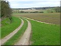 Track and farmland, Shalbourne in RG17 0RH