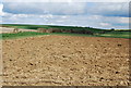 Ploughed field in DT2 8DW