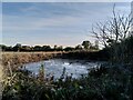 Pond on Windmill Hill, Allesley in CV5 9BU