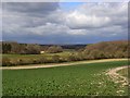 Farmland and woodland, Newtown, Shalbourne in SN8 3RP