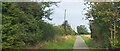 Track north from Cattishall Foot Crossing, taken from the railway in IP32 7GW