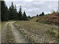Road and quarry, Knapdale Forest in PA31 8UH