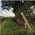 Field path, Wood End in CV7 8DH
