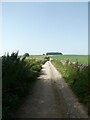 NCN548 on a stony lane, near The Nook in DE4 2PN