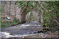 Under Cardies Bridge - Brownlee Road, Law in ML2 0RS
