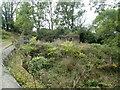 Dilapidated buildings at Plasgwyn Mill in SA32 8DU