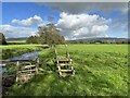 Stile beside Eller Beck in Burrow-with-Burrow