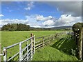Sheep pens, Low Gale in Burrow-with-Burrow